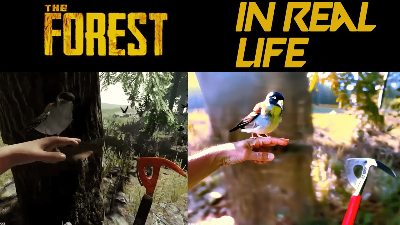 The Forest But...in the Real World