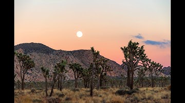 سورة الزخرف الشيخ محمود فرج