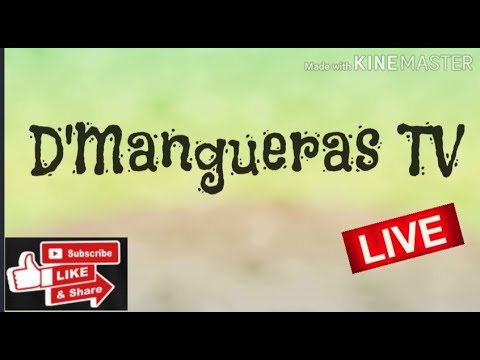 AL MAMZAR BEACH PARK