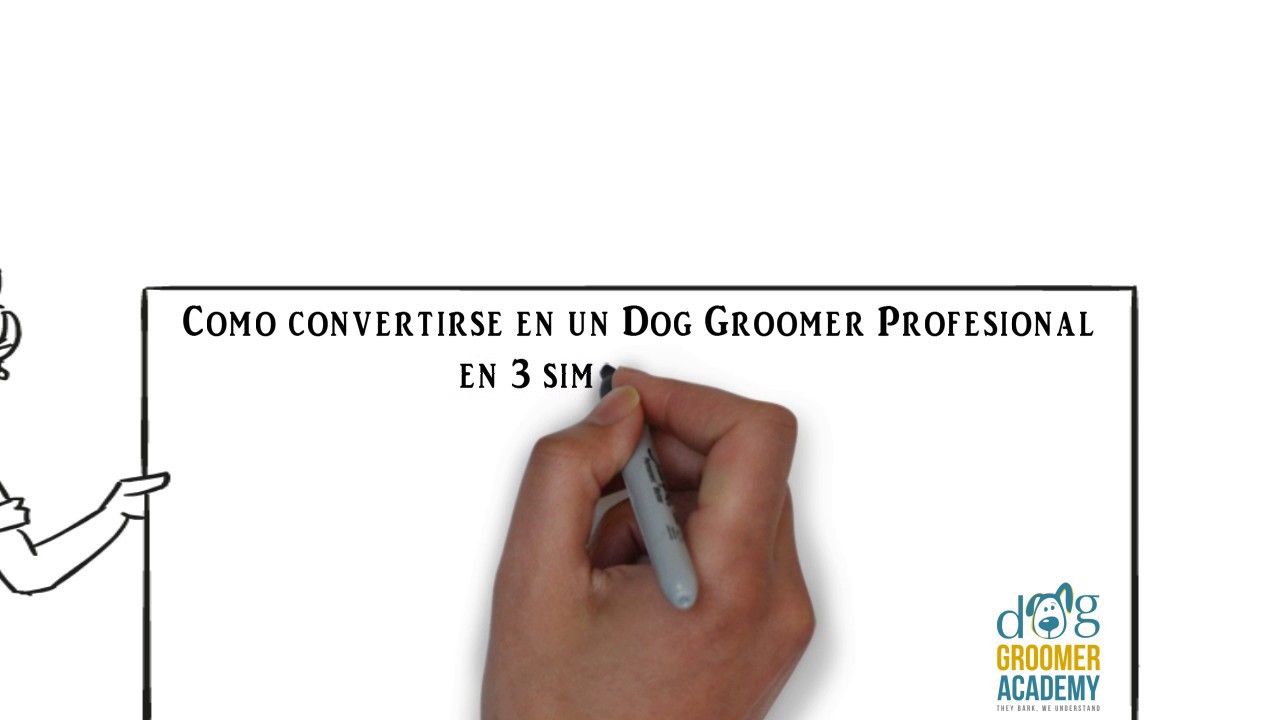 3 Pasos Para Convertirte En Peluquero Canino YouTube 3 Pasos Para Convertirte En Peluquero Canino YouTube