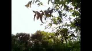 Capture 20131012 1