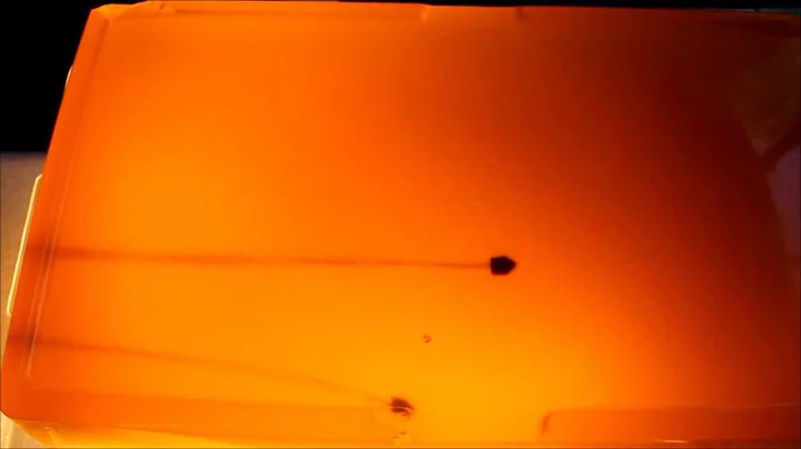 .22 gel test: Super Colibri