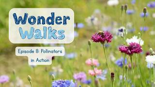 What's Happening in This Garden? 🐝🦋 Pollinators in Action | Nature for Kids