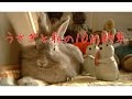うさぎと私の10の約束 2015 (パワポVer.)
