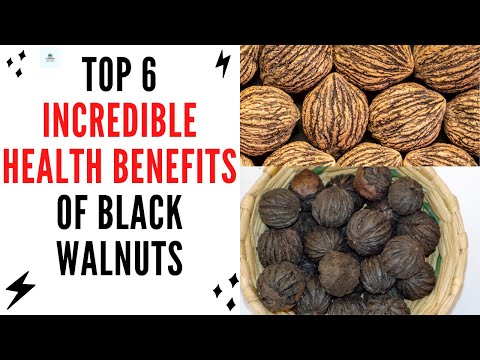 🔸Top 6 Incredible Health Benefits of Black Walnuts || Black Walnuts || Benefits of Black Walnuts