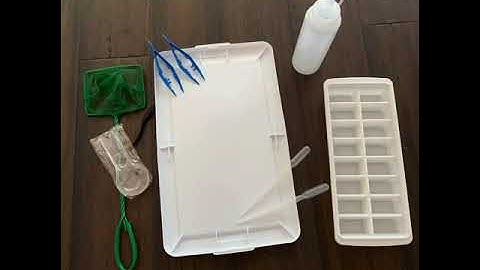 Mission: WET - Conducting Biological Monitoring