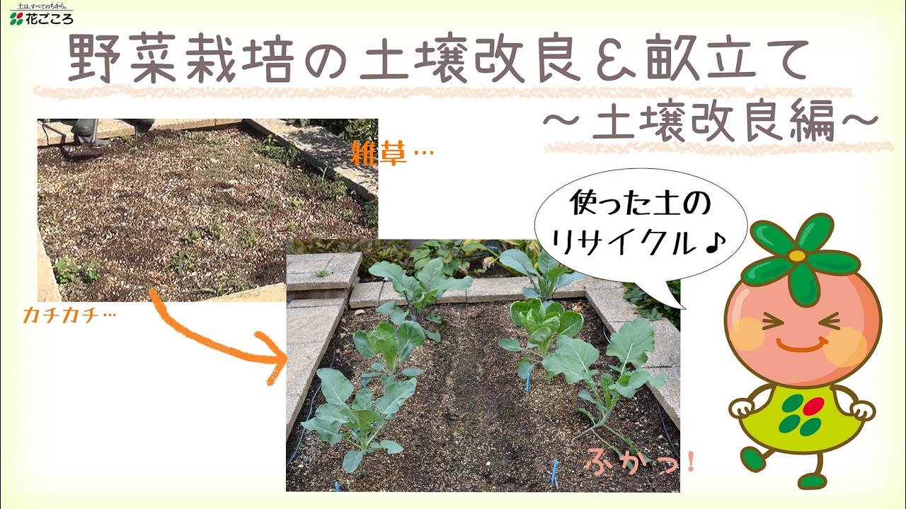 土のリサイクル 野菜の後の土壌改良 家庭菜園 Youtube