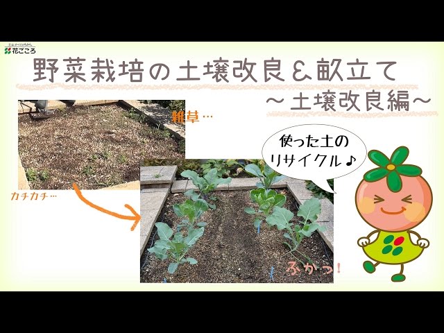 Soil Recycling] Soil Improvement After Vegetable Harvesting [Home