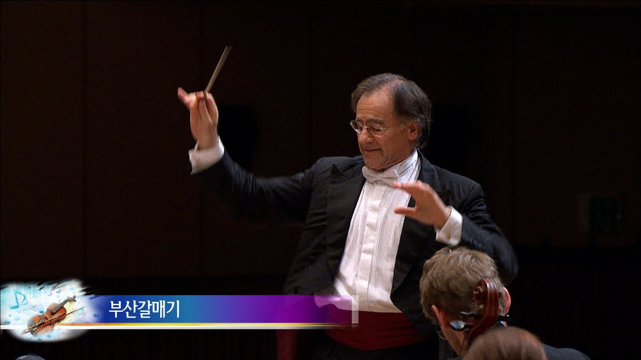 부산 갈매기 (Busan Galmegi) / 런던 오케스트라가 부산 갈매기를 연주하면 생기는 일