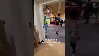 Bug Squad Exhibit at Discover Center Children’s Museum in Binghamton, NY #learnthroughplay