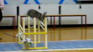 Stald-Leed, Jm All Star