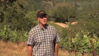 IPM Innovators
