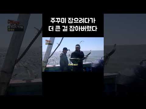 주꾸미 잡는 그물에 잡힌 다른 엄청난 것 #shorts