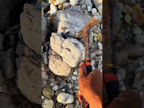 Breaking the lumps of your clay to find the gold nuggets buried inside. #breaking#gold #goldnuggets