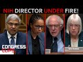 Dems Grills NIH Director Jay Bhattacharya: Top 5 Biggest Moments!