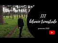 III bilancio trimestrale (primavera 2021)