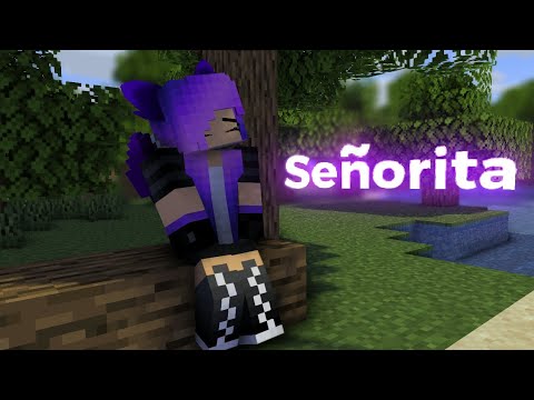 Señorita - Short Minecraft animation