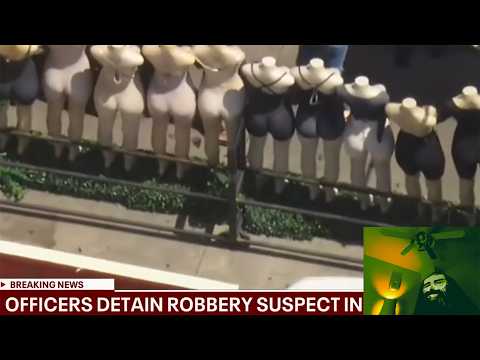 Suspects Attempt to Evade Police With Alternate Costumes | The ATP Chase Companion