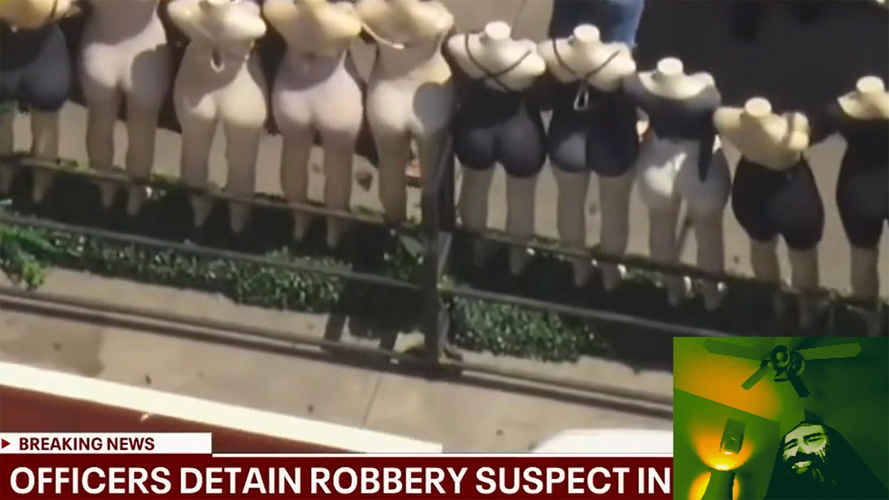 Suspects Attempt to Evade Police With Alternate Costumes | The ATP Chase Companion