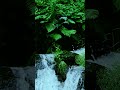 Emerald Cascade By Parth Colors