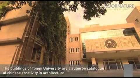 Tongji University Architecture, Shanghai