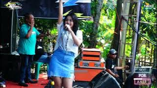 HARAPAN HAMPA (Inak Inak) - Salma Novita - DK Musik So..So..Ho..Ha.. - DMS Audio - D'BEST Generation