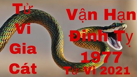 Vận Hạn Của Tuổi Đinh Tỵ 1977 Trong Năm 2021 Năm Tân Sửu