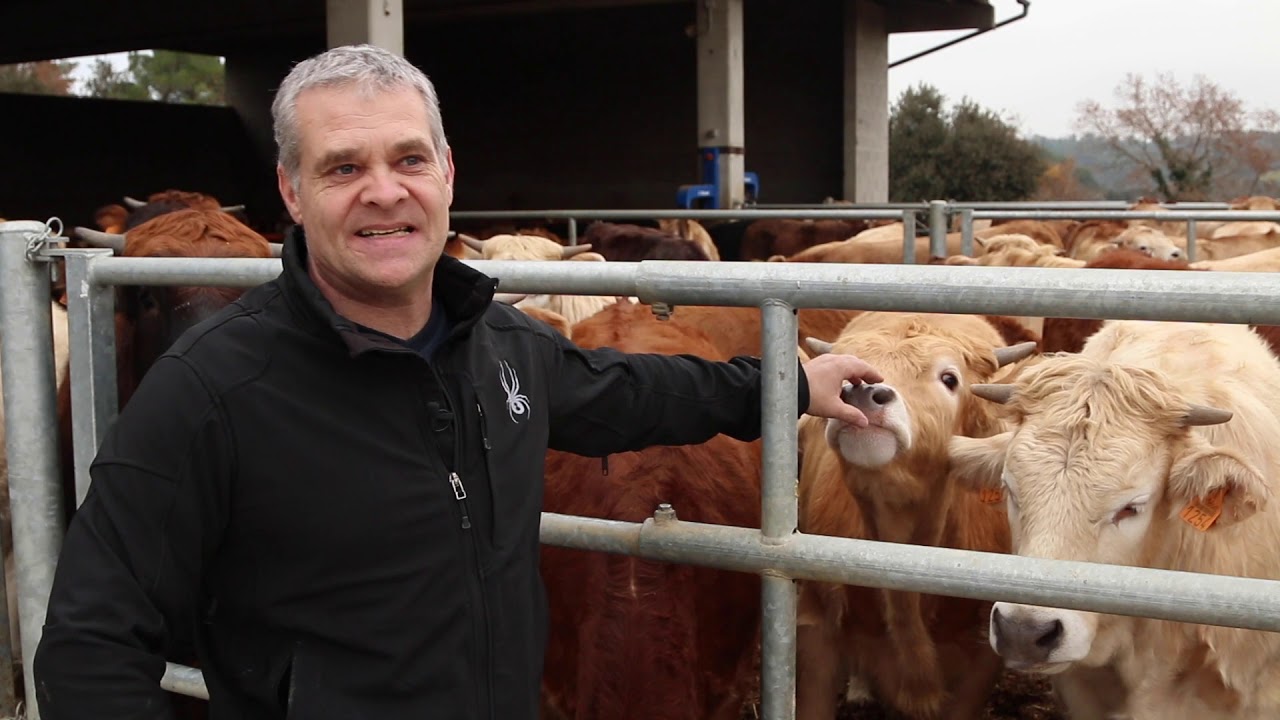 LA BASSOLA, VEDELLA, CASTELLTERÇOL