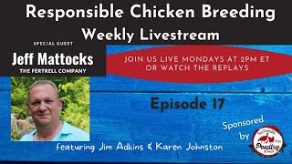 Responsible Chicken Breeding - Episode 17