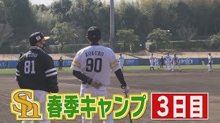 ホークスキャンプNEWS★ホークス伝統の地獄の特訓ほか（2021/2/3）｜テレビ西日本