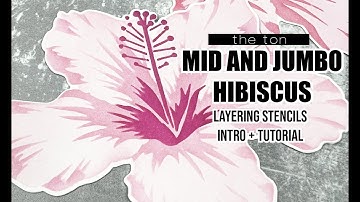 Intro: Mid Hibiscus and Jumbo Hibiscus Layering Stencils (Available 10/29 @7pmEST)