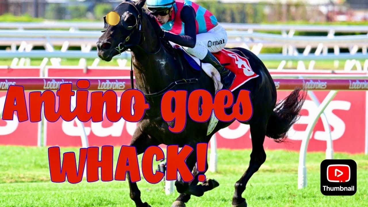 Last to first horse race finish antino s spectacular victory stakes win