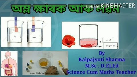 Class 7 Science: Acid Base & Salt । অম্ল ক্ষাৰক আৰু লৱন । সম্পুৰ্ন বৰ্ননা অতি সহজভাবে অসমীয়া ভাষাত ।