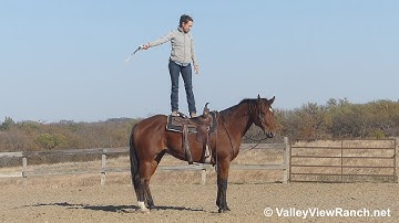 Hotshot Invitation***For info, price, etc., go to our website: ValleyViewRanch.net***