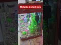 minjiang and sobo fish tanks full range in stock... Mp3 Song