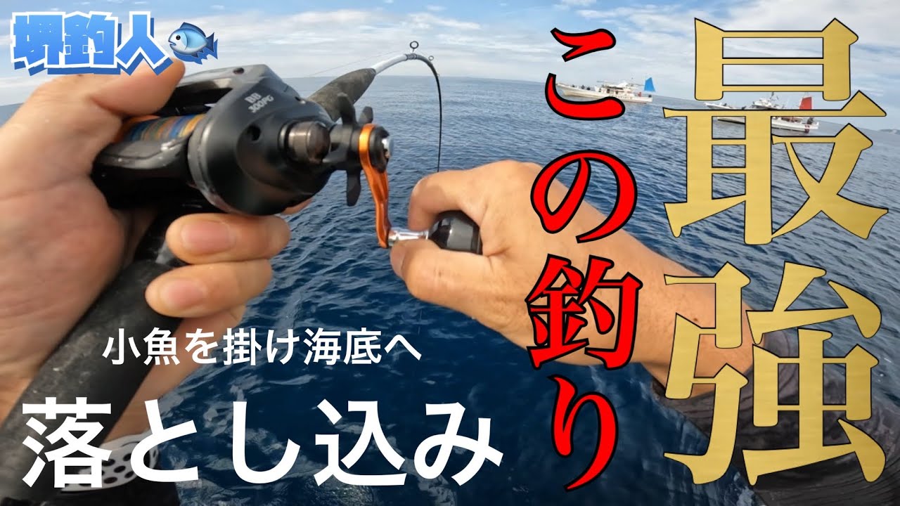 【落とし込み釣り】和歌山の一級ポイントで落とし込み釣りをしたら大型高級魚が次々と釣れました。