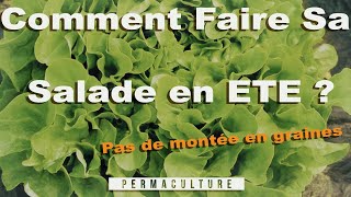 Comment Faire sa Salade d'été ? 🥗   (pas de montée à fleurs)