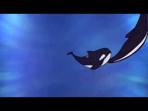 FREEDOM! - The Orca Awareness Project - YouTube