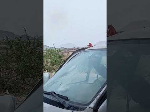 عواصف حمة صرار 