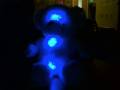 Glow bear goes techno