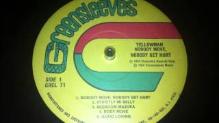 Watch Yellowman Nobody Move Nobody Get Hurt video
