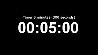 Timer 5 minutes (300 seconds)