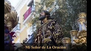 Miniatura del video "Marcha "Mi Señor de La Oración" - A.M. Santa María Magdalena (Arahal)"