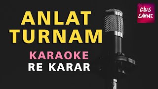 ANLAT TURNAM (BİR ÇİFT TURNA GÖRDÜM) Karaoke Altyapı Türküler - Re Resimi