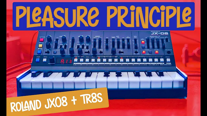 ROLAND JX-08 + TR8S - JANET JACKSON - PLEASURE PRI...