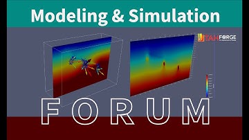 Modeling and Simulation Forum #12