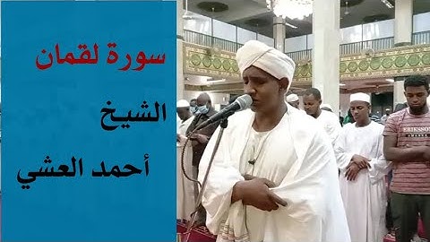 تلاوة رائعة من سورة لقمان الشيخ أحمد العشي Sheikh|| Ahmed Alashy|| Surah Luqman