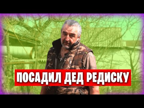 Переехали из Греции в Донецк / Садим огород / Поездка в Мариуполь и на Донецкое море