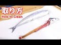 さんまの内臓の取り方＆手に付いた魚のニオイを消す方法【字幕あり】