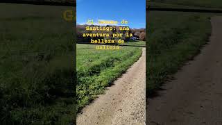 El Camino de Santiago:una aventura porla belleza de Galicia #sarria #caminofrances #pilgrim #travel